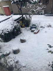 庭の雪